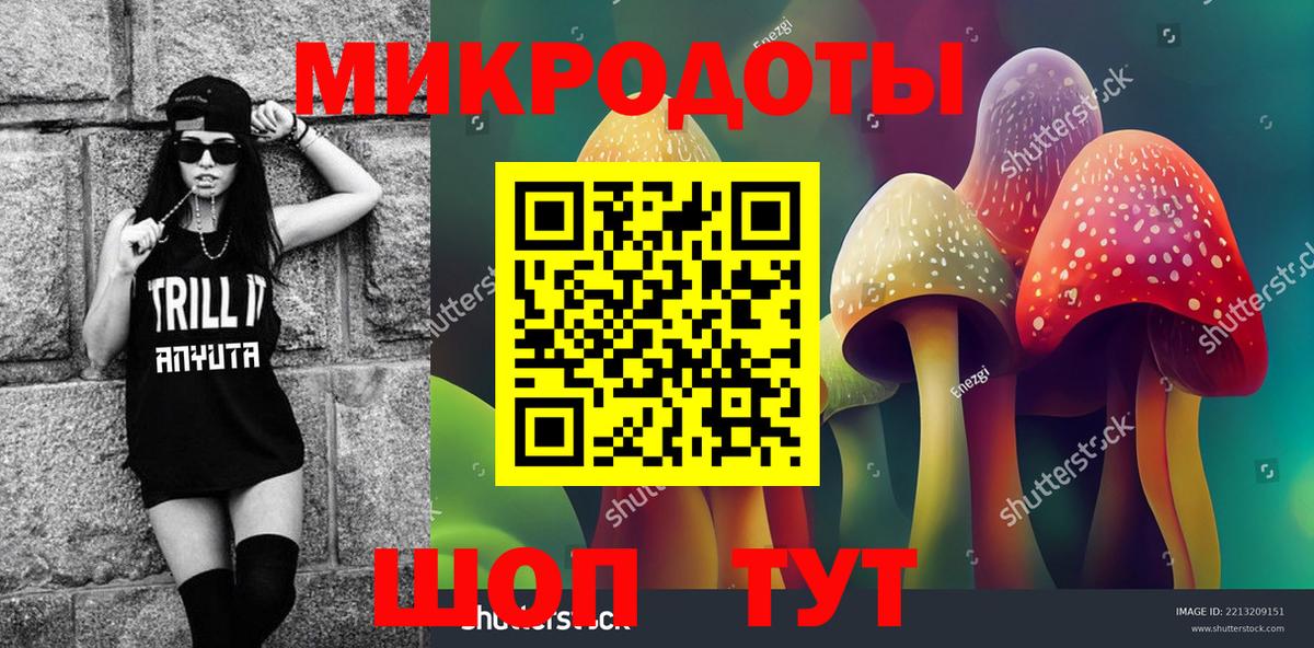 Луга  Галлюциногенные грибы Cubensis  Вход с VPN 