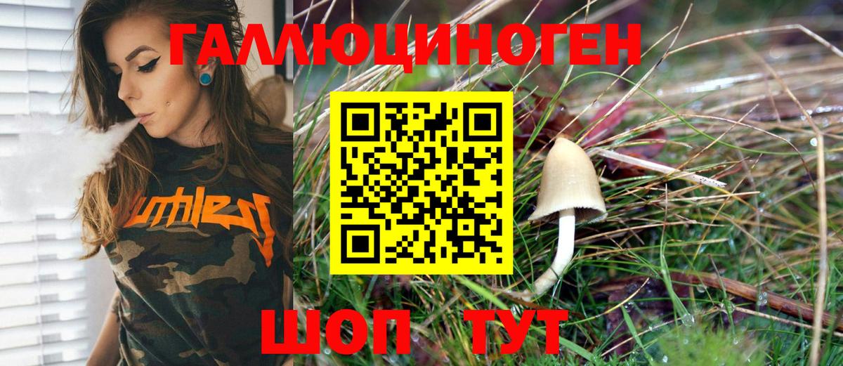 Псилоцибиновые грибы Magic Shrooms Луга